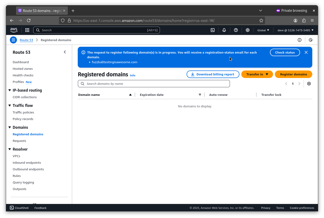 Waiting period for your domain to become live