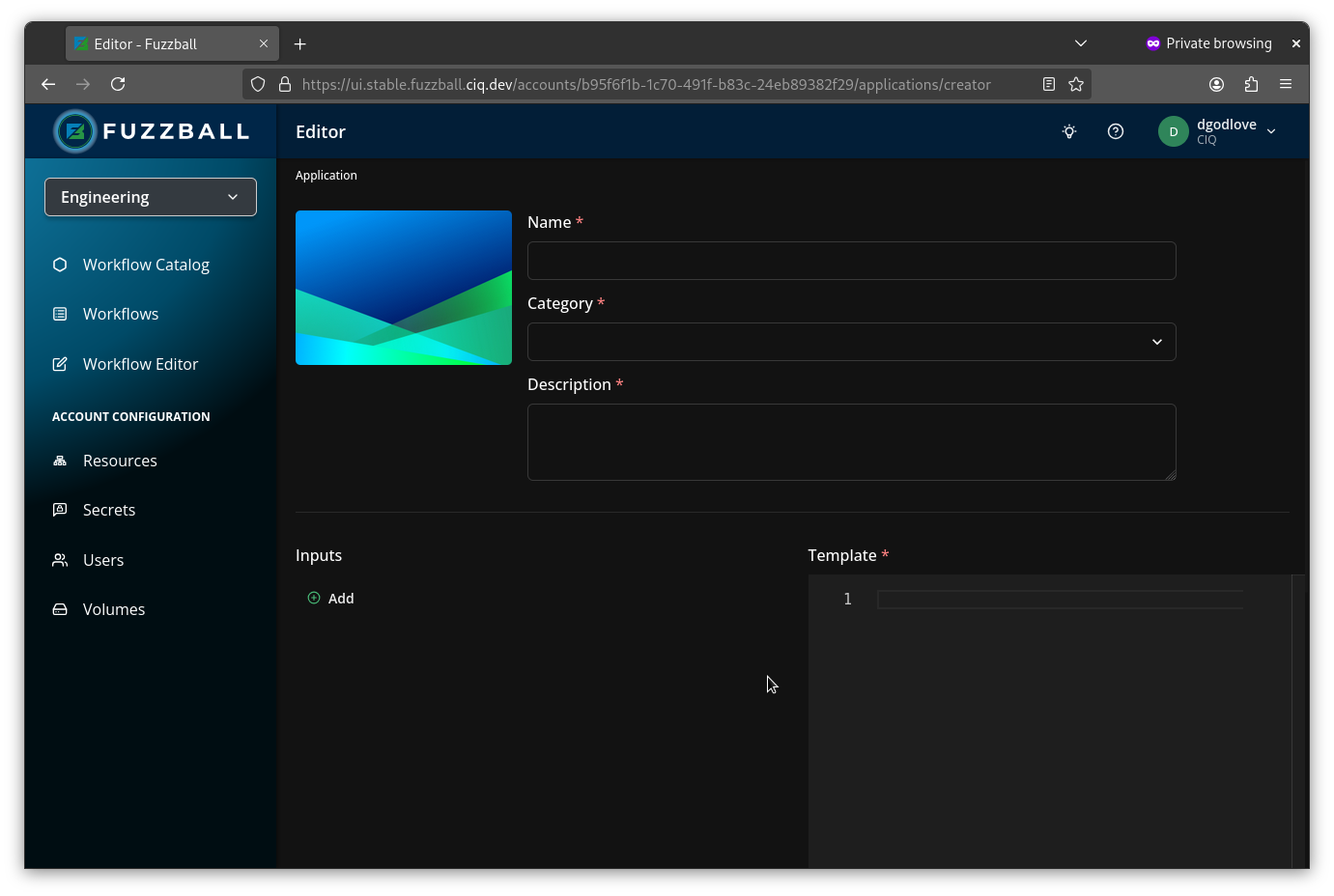 View the blank template fields