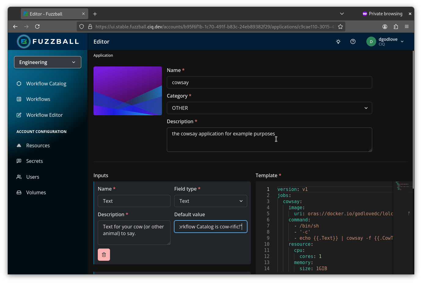 View the completed workflow catalog template