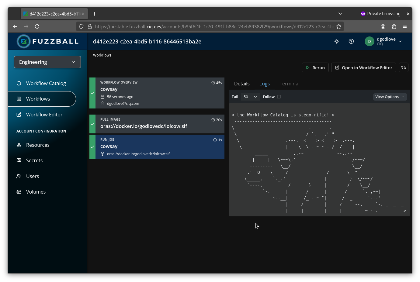 View the cowsay workflow