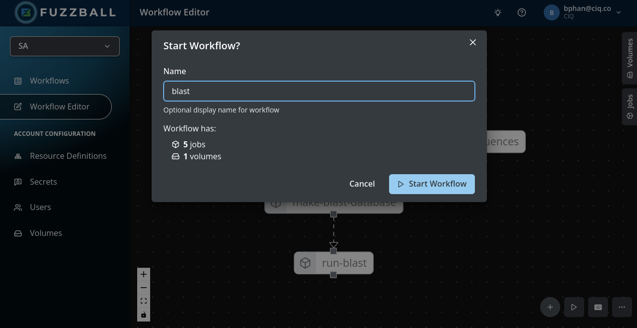 Fuzzball name workflow and submit screen