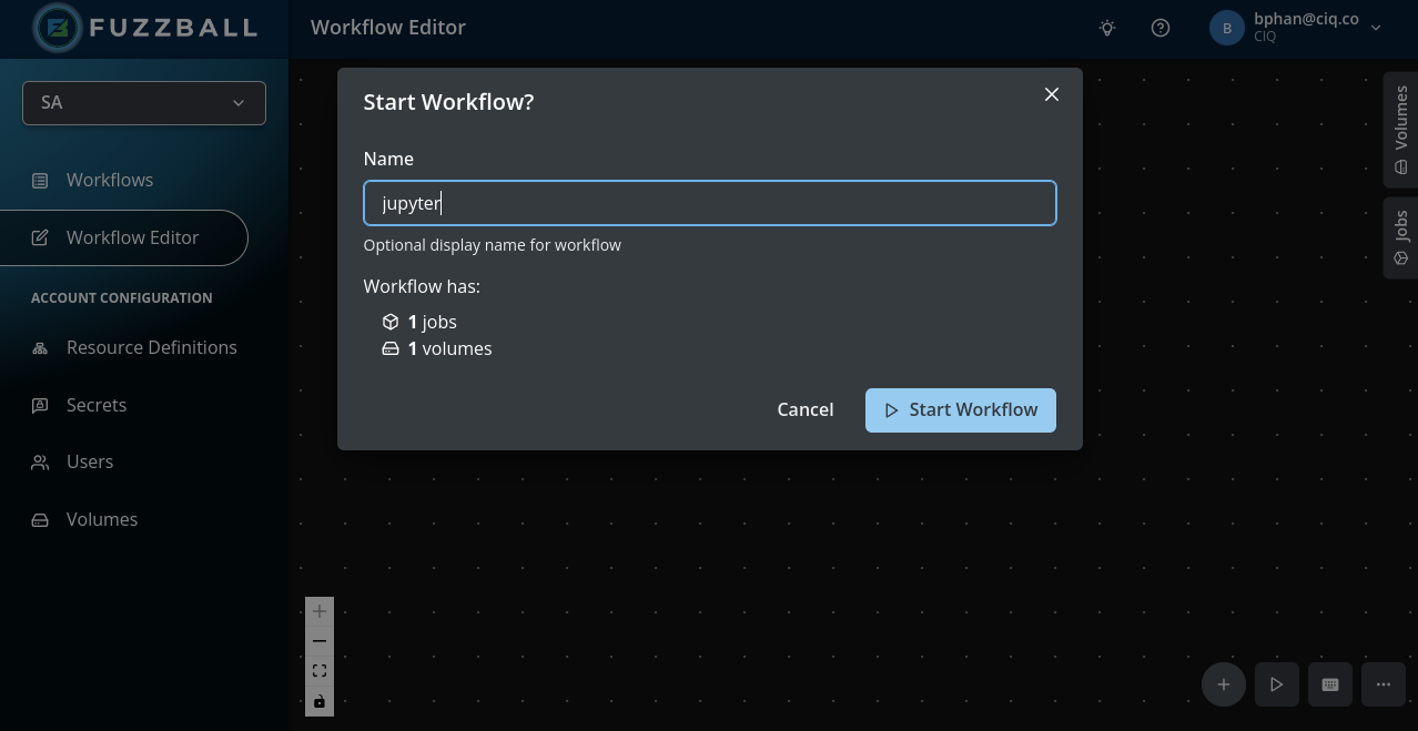 Fuzzball name workflow and submit screen