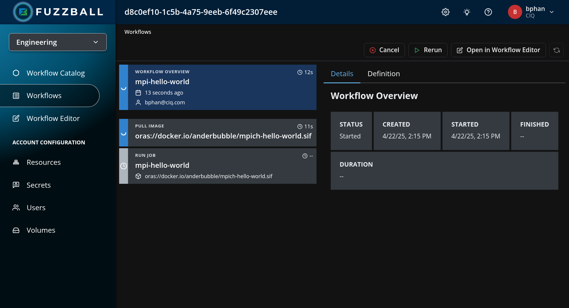 Fuzzball workflow status page